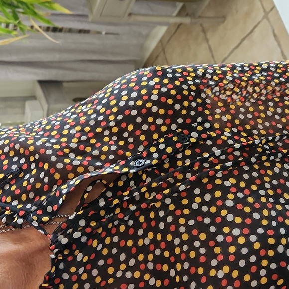 Pleione - Picture 3 of 8